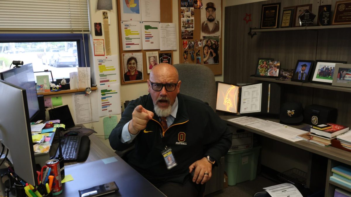 The New Doc T Law